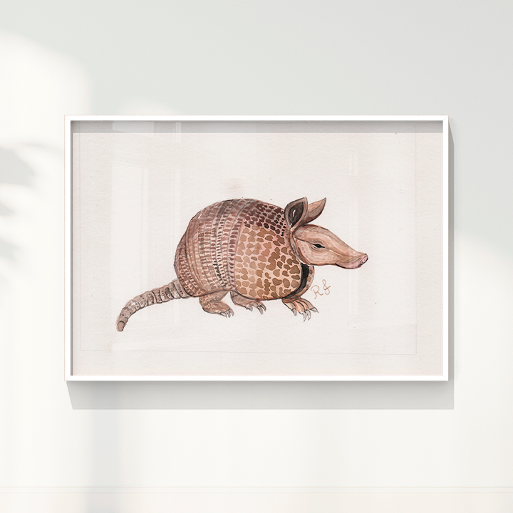Quadro Tatu por Rayana Karoline