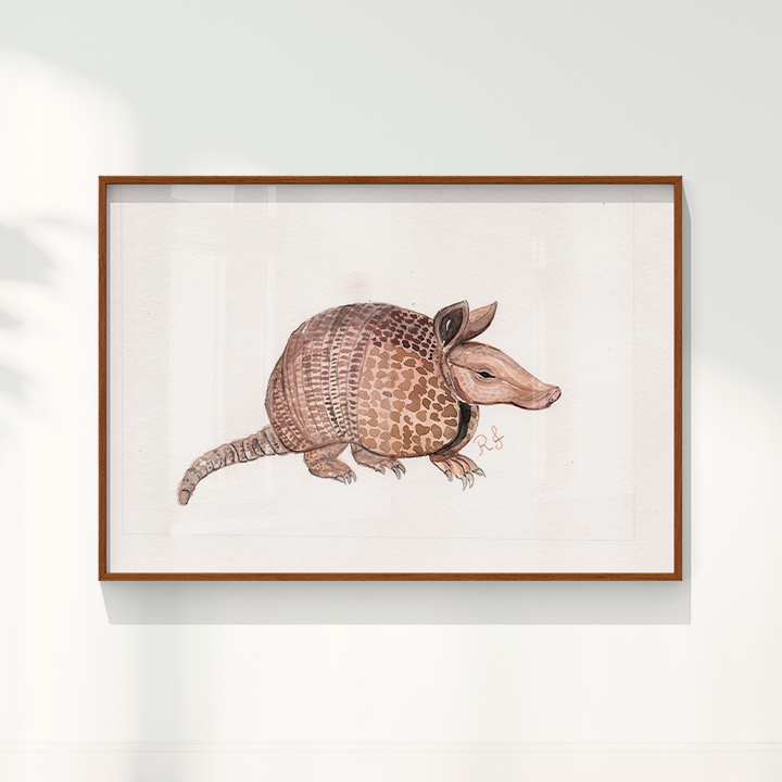 Quadro Tatu por Rayana Karoline