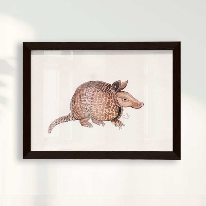 Quadro Tatu por Rayana Karoline