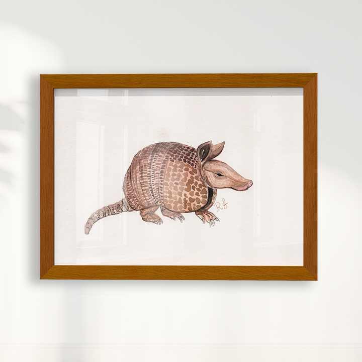 Quadro Tatu por Rayana Karoline