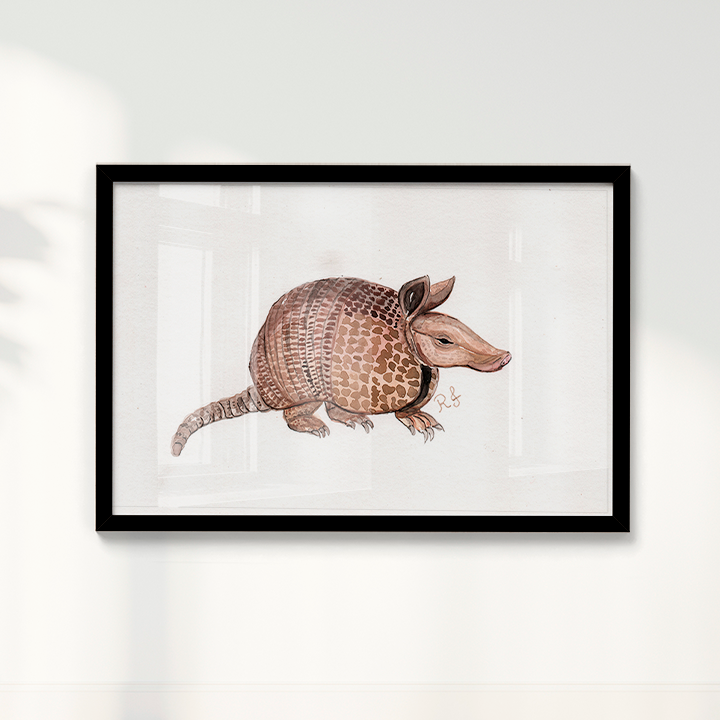Quadro Tatu por Rayana Karoline