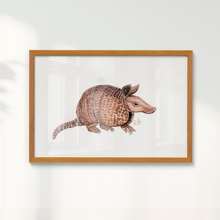 Quadro Tatu por Rayana Karoline