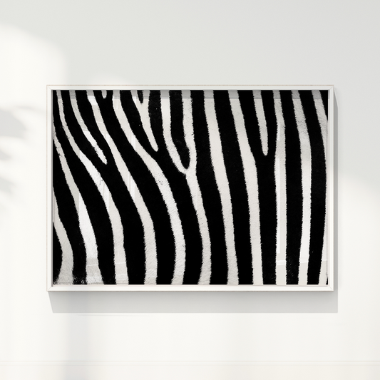 Quadro Zebra