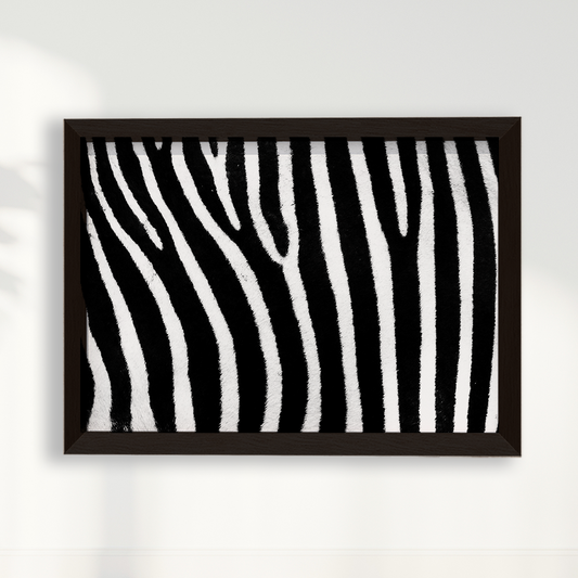 Quadro Zebra
