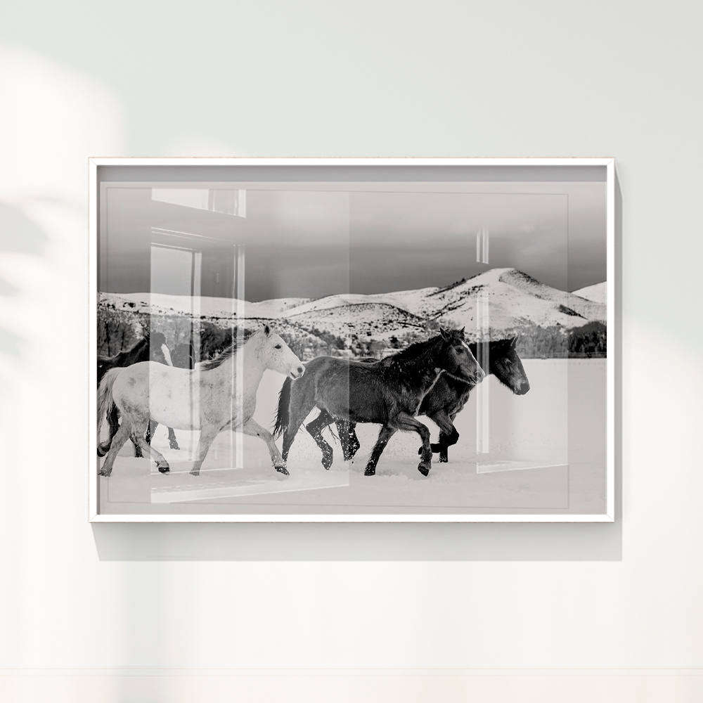Quadro Wild horses