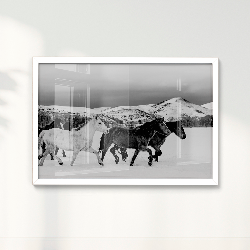 Quadro Wild horses
