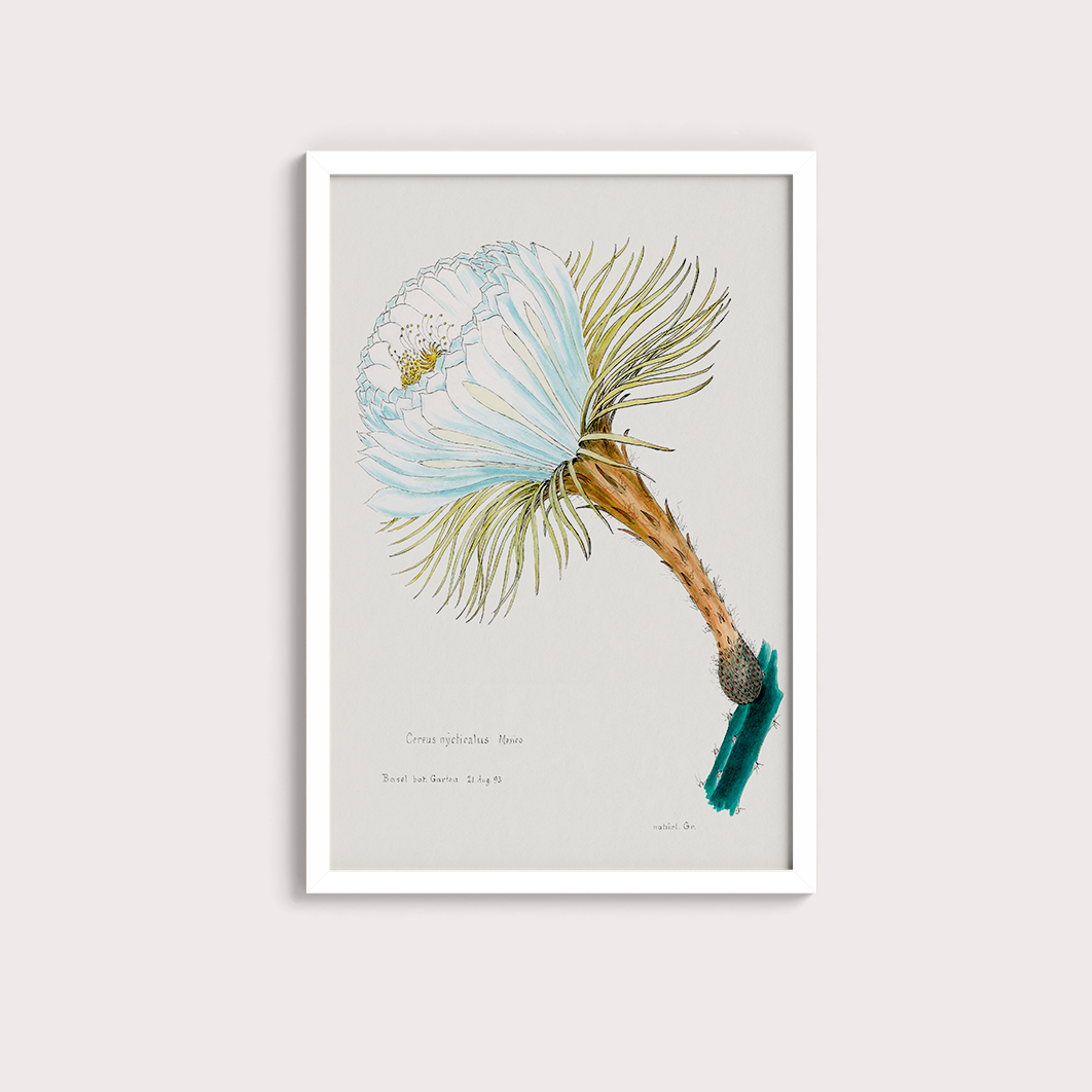 Flower Cactus