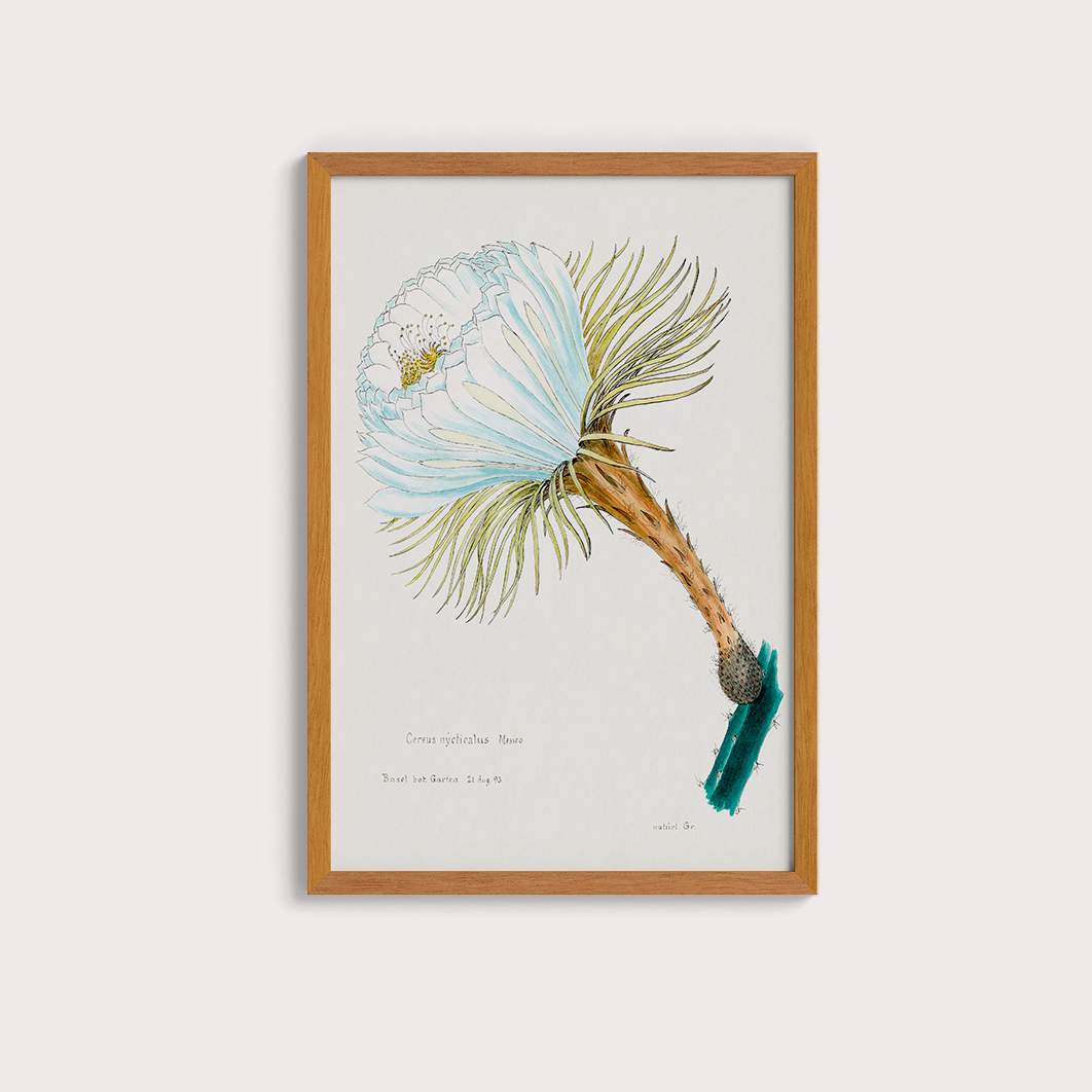 Flower Cactus