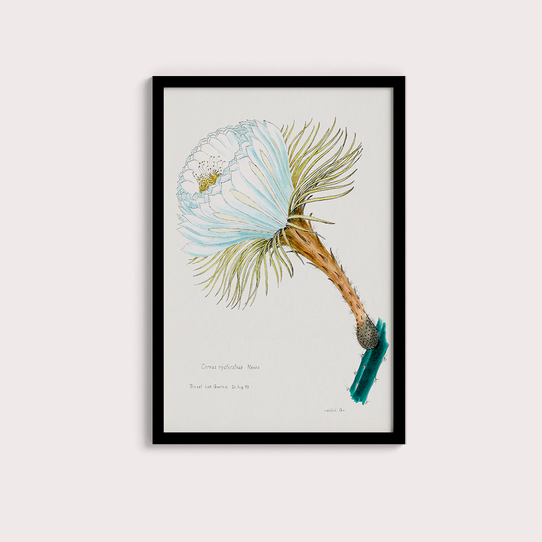 Flower Cactus