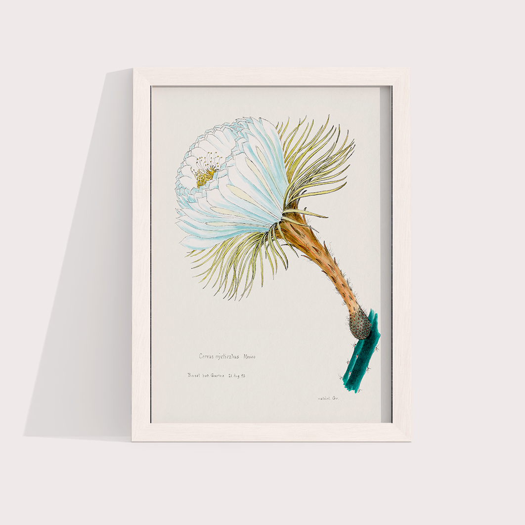 Flower Cactus