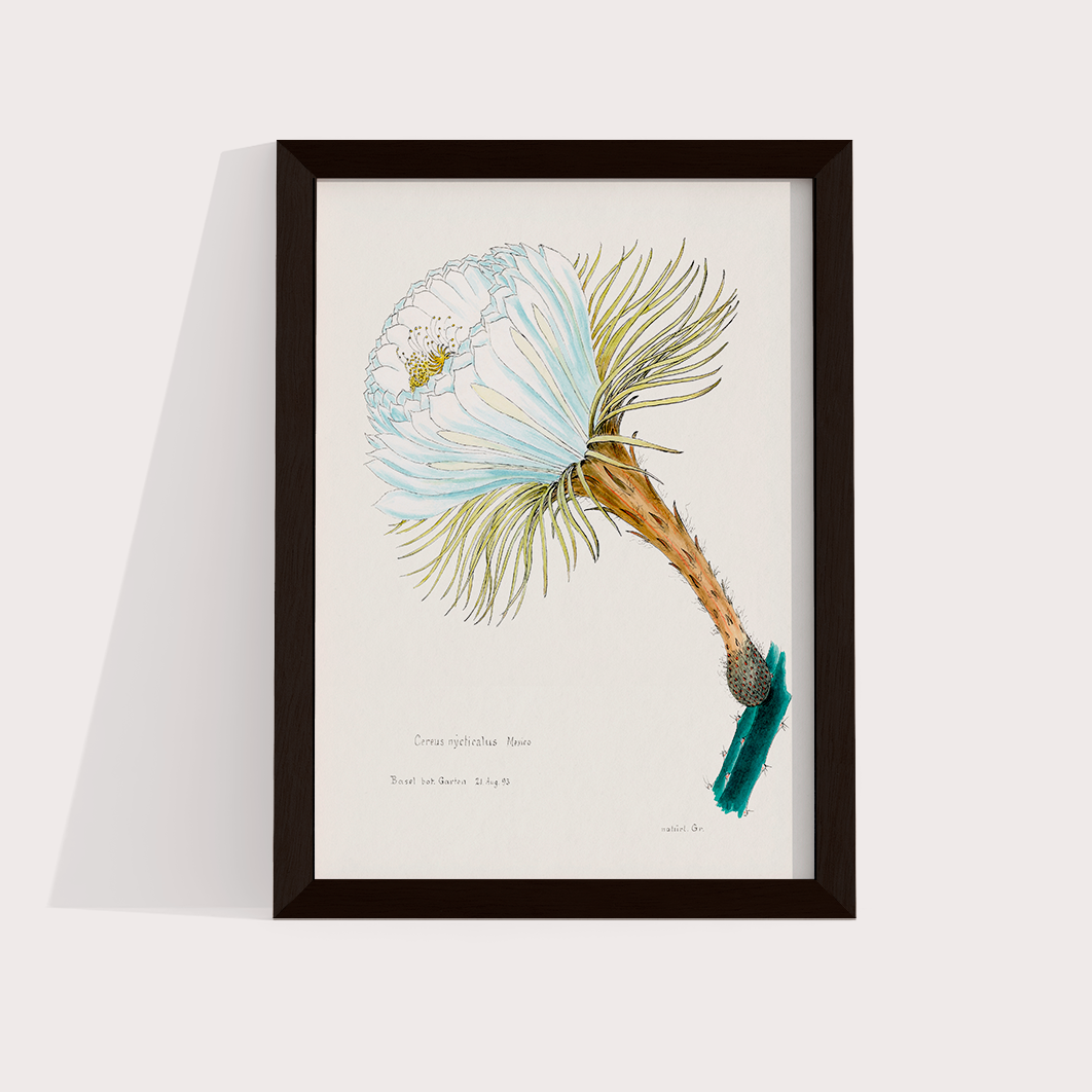 Flower Cactus