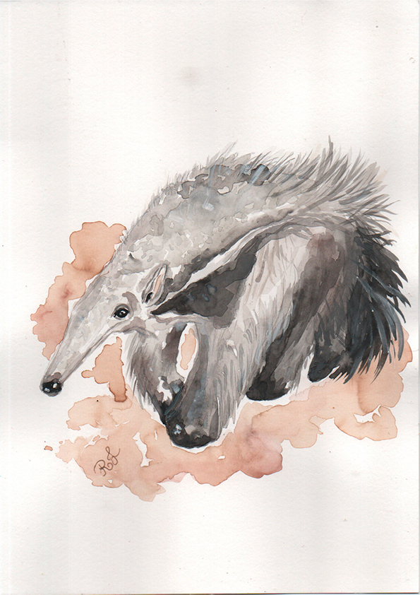 Quadro Tamanduá por Rayana Karoline
