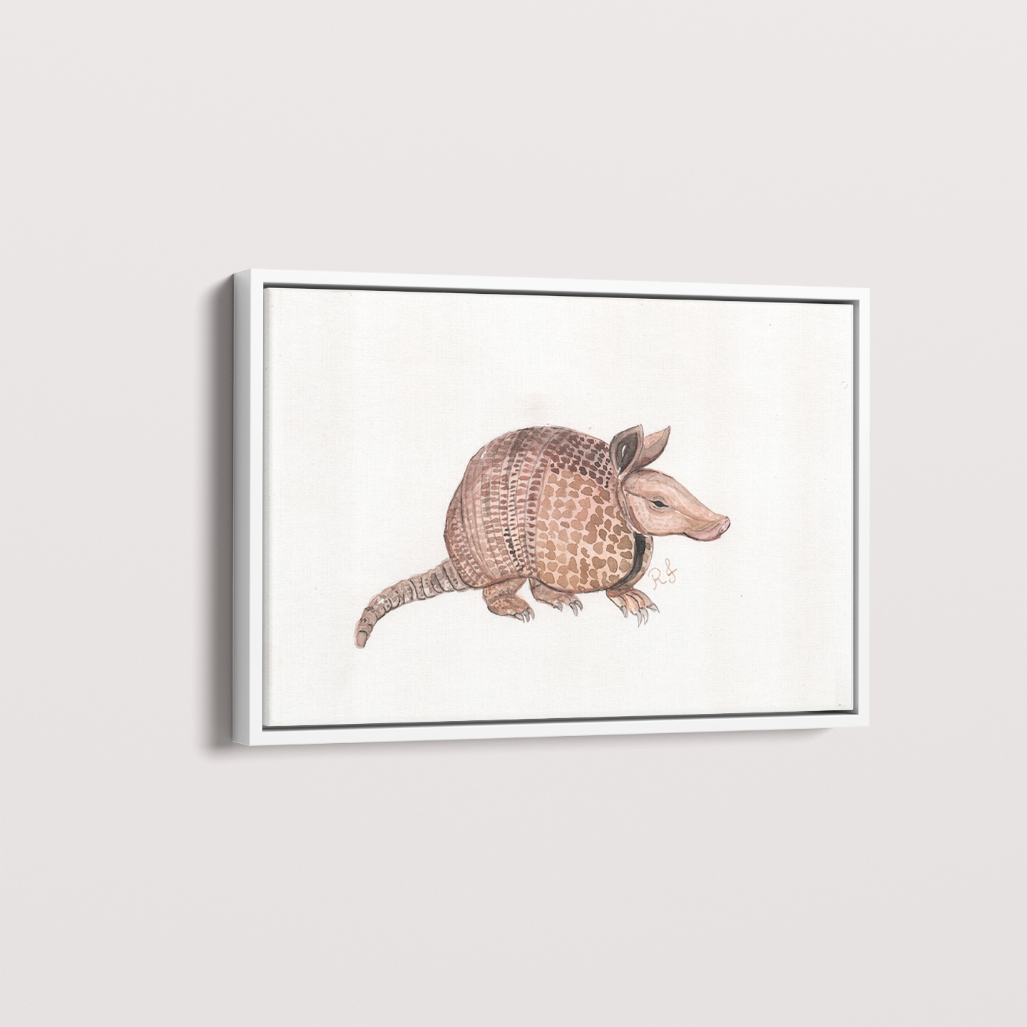 Quadro Tatu por Rayana Karoline
