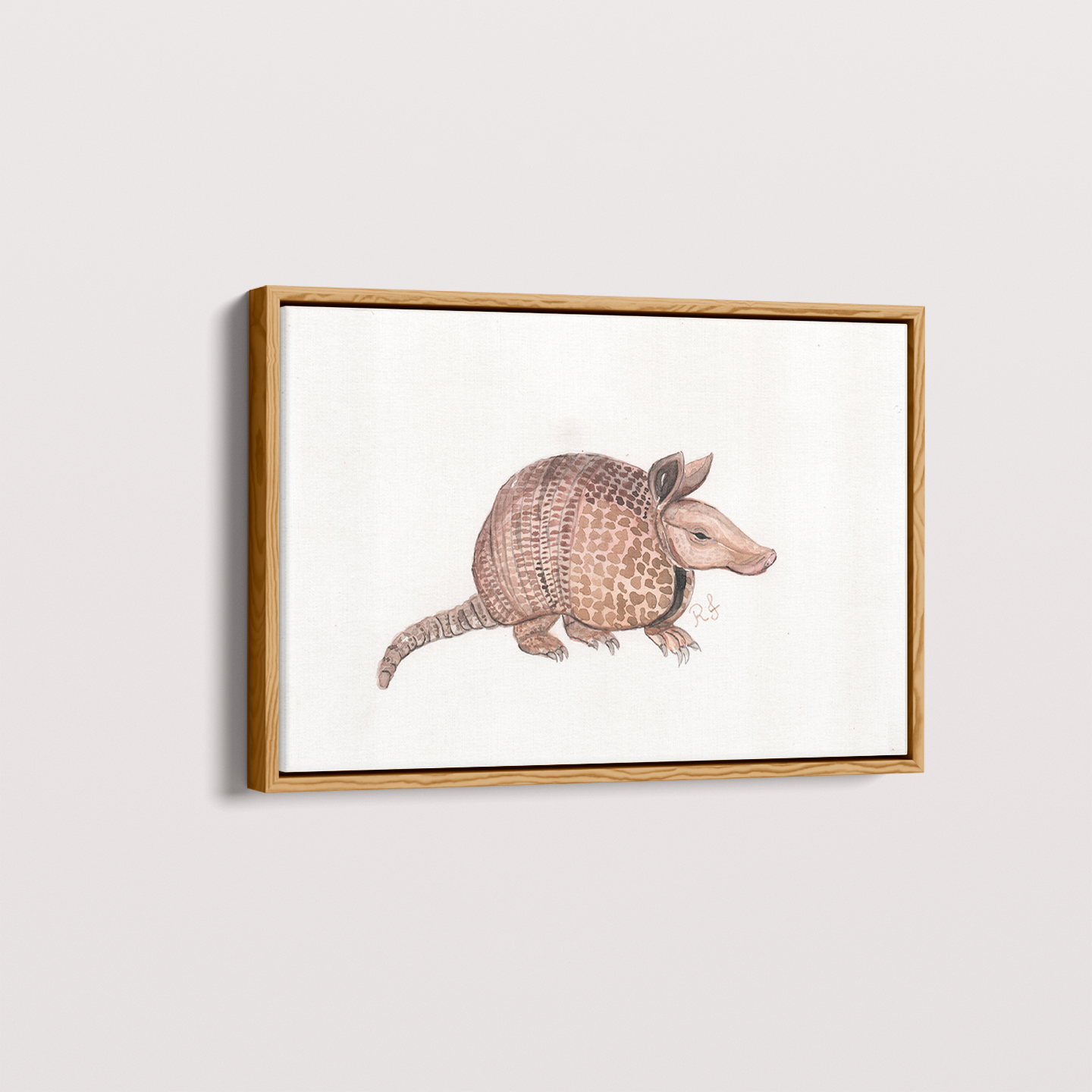 Quadro Tatu por Rayana Karoline