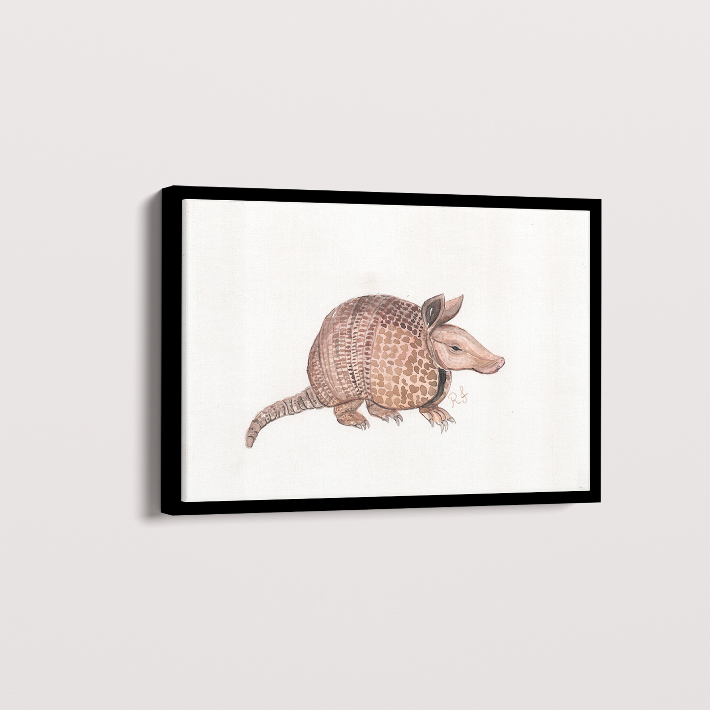 Quadro Tatu por Rayana Karoline