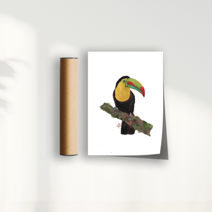 Quadro Tucano 2 por aquarelando