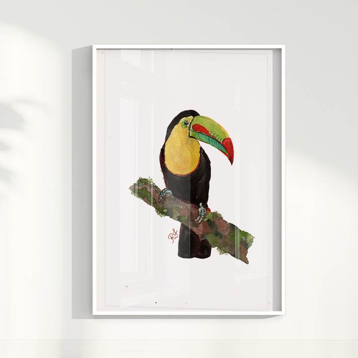 Quadro Tucano 2 por aquarelando