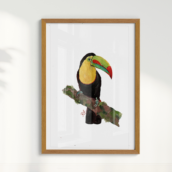 Quadro Tucano 2 por aquarelando