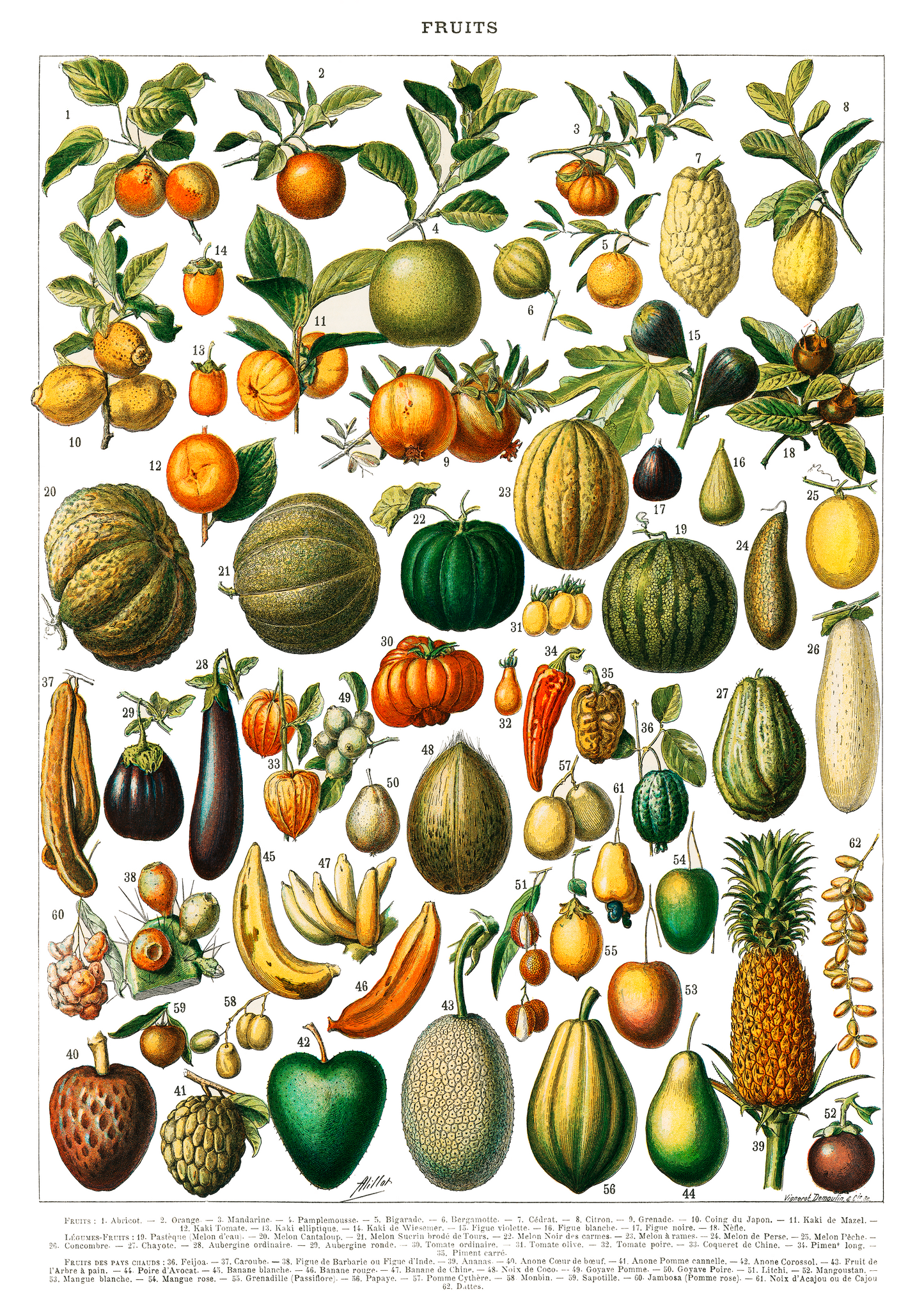 Quadro Fruits White - LARTESTUDIO