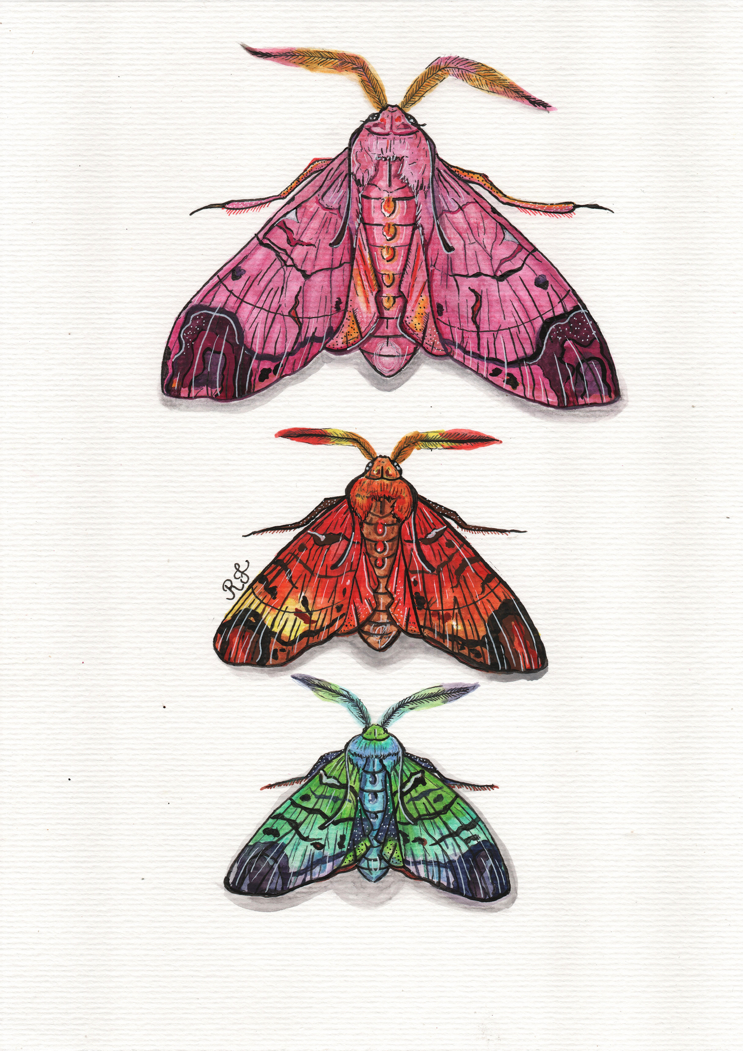 Aquarelando 14 por Rayana Karoline - LARTESTUDIO