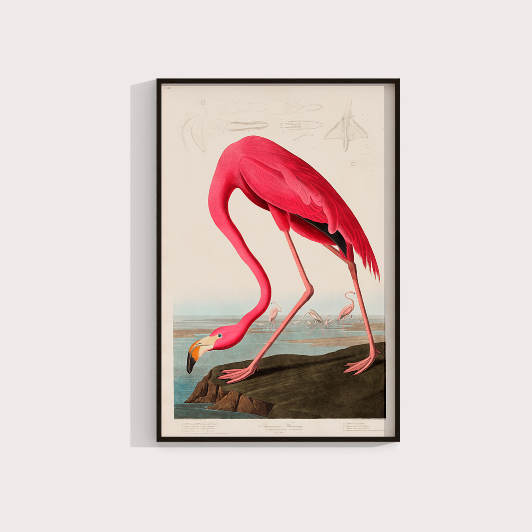 Flamingo Vintage