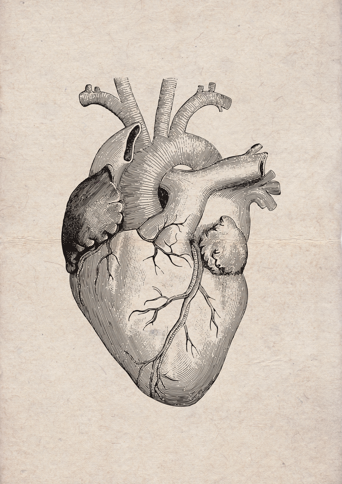 Heart Vintage - LARTESTUDIO