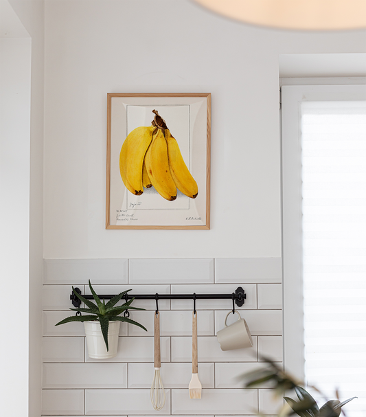 Quadro Banana Vintage