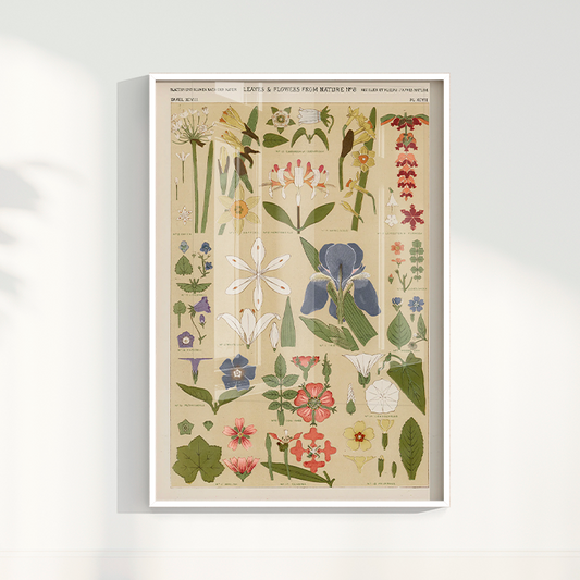 Quadro Botânica Clássica – Flores e Folhas Vintage