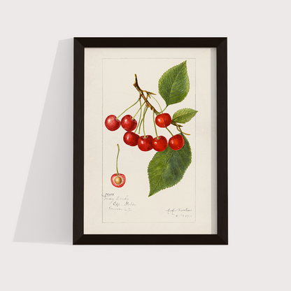 Cerejas Vintage - LARTESTUDIO