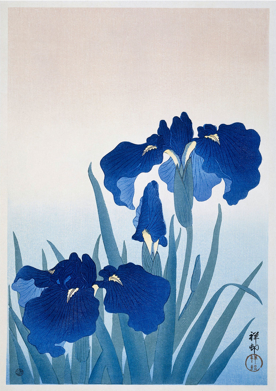 Iris Flowers por Ohara Koson