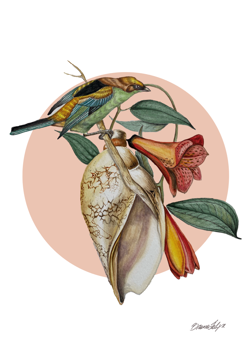 Quadro Lírio por Bruno Felipe