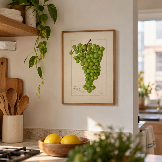 Quadro Uva vintage