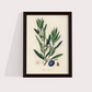 Olive Vintage