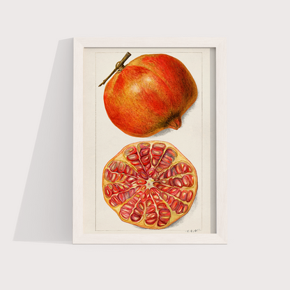 Romã Vintage - LARTESTUDIO