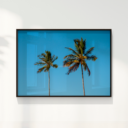 Quadro Dois coqueiros - Irmãos de Sol por Larissa Heitmann