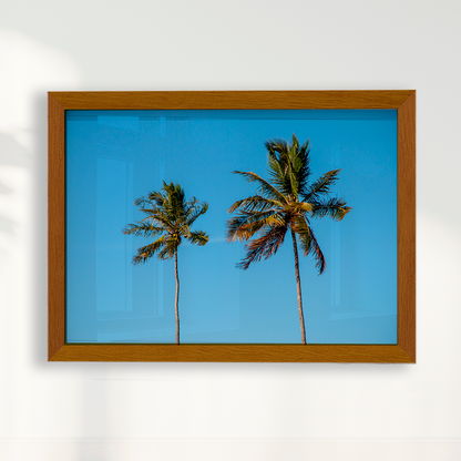 Quadro Dois coqueiros - Irmãos de Sol por Larissa Heitmann