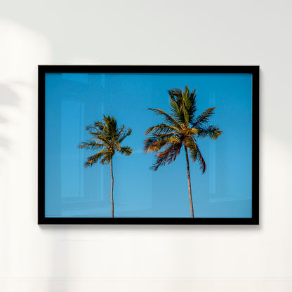 Quadro Dois coqueiros - Irmãos de Sol por Larissa Heitmann