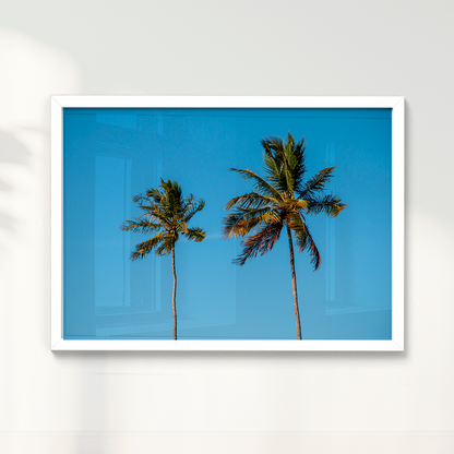 Quadro Dois coqueiros - Irmãos de Sol por Larissa Heitmann