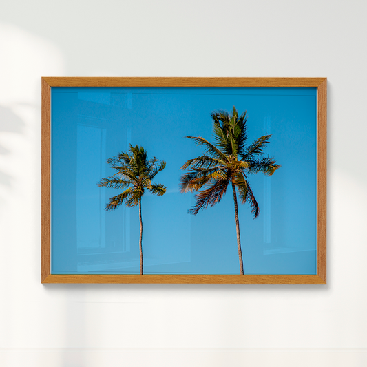 Quadro Dois coqueiros - Irmãos de Sol por Larissa Heitmann