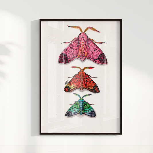 Quadro Aquarelando 14 por Rayana Karoline