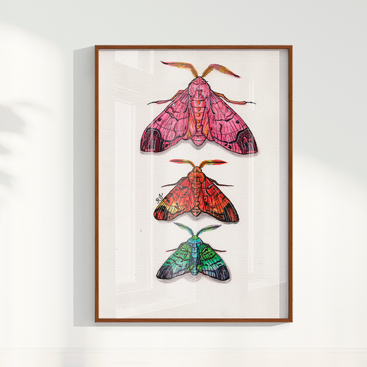 Quadro Aquarelando 14 por Rayana Karoline