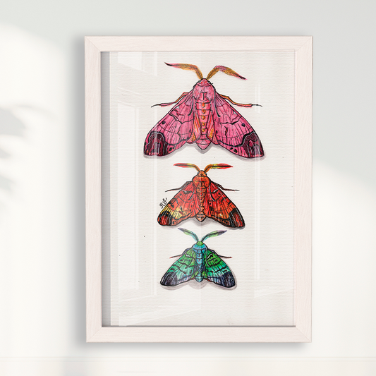 Quadro Aquarelando 14 por Rayana Karoline