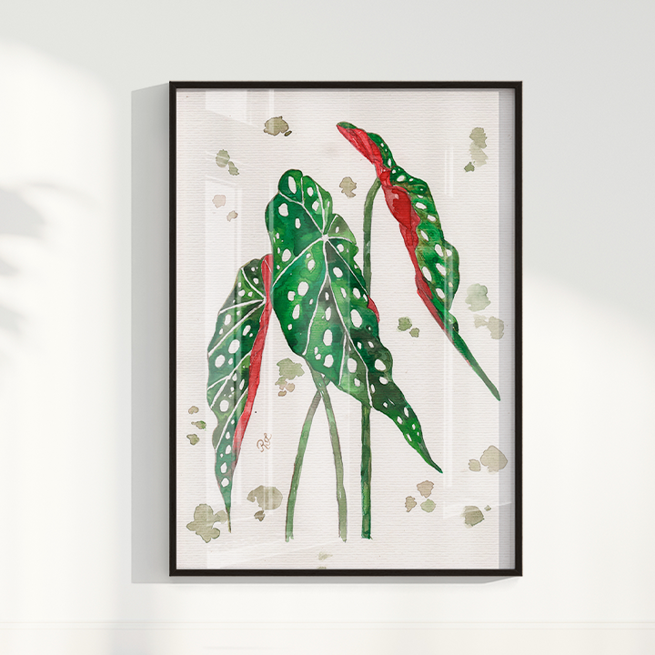 Quadro Aquarelando 33