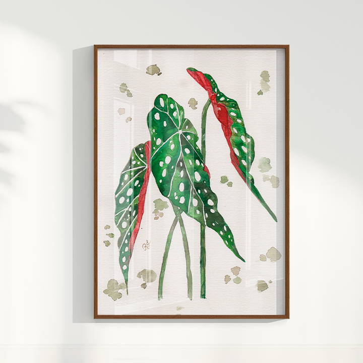 Quadro Aquarelando 33