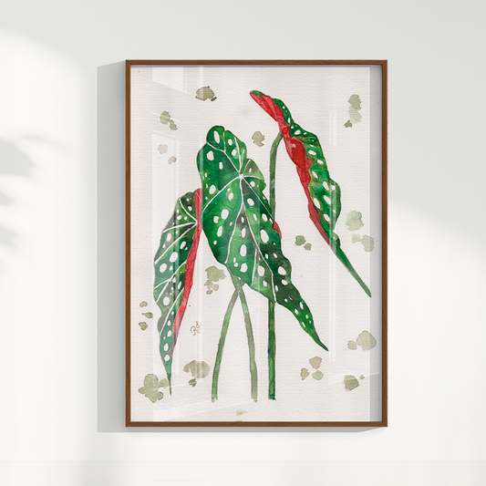 Quadro Aquarelando 33