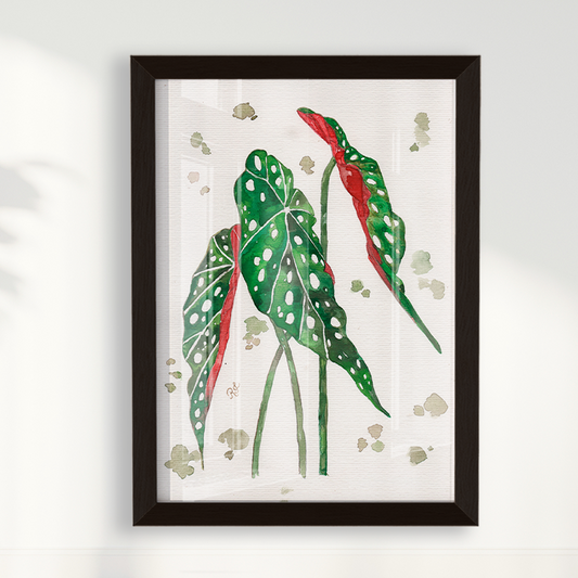 Quadro Aquarelando 33