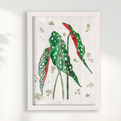Quadro Aquarelando 33