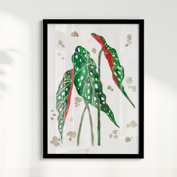 Quadro Aquarelando 33