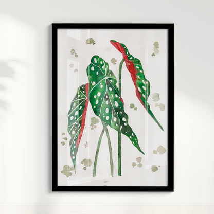Quadro Aquarelando 33