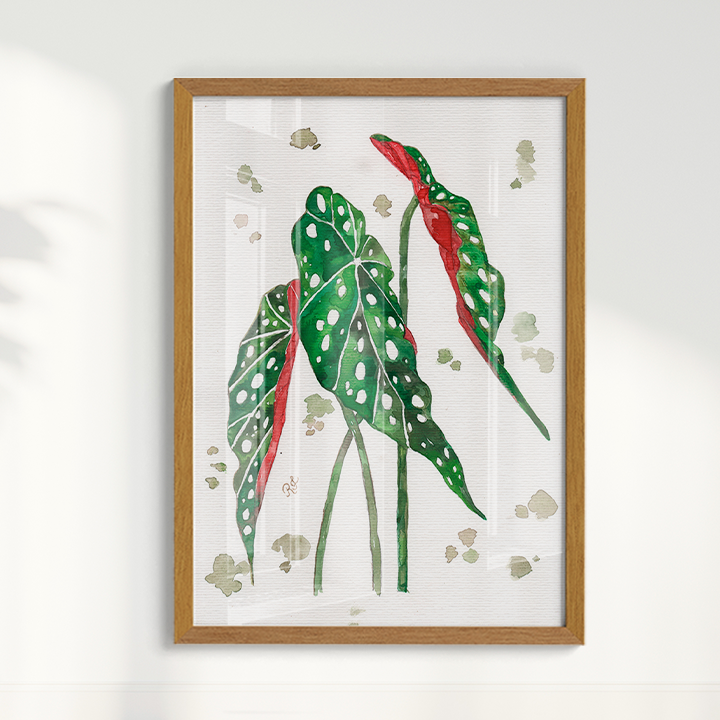 Quadro Aquarelando 33